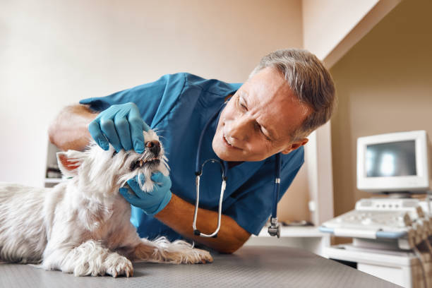 Best Emergency Tooth Extraction in Netcong, NJ