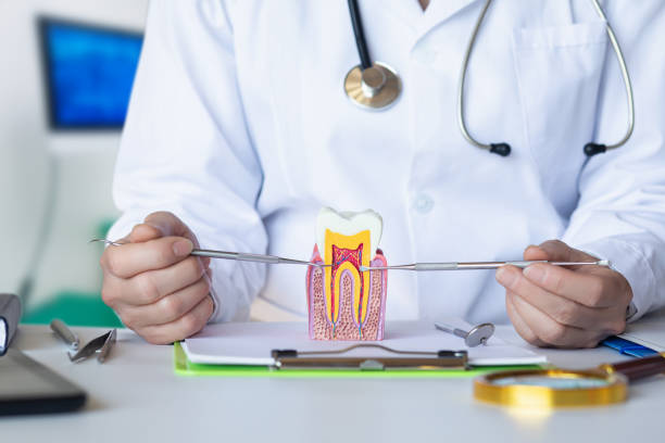 Best Same-Day Emergency Dental Services in Netcong, NJ